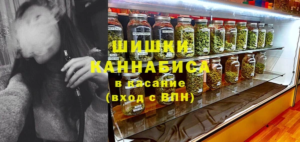 apvp Алзамай