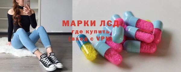 гашик Алексеевка