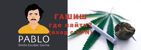 гашик Алексеевка