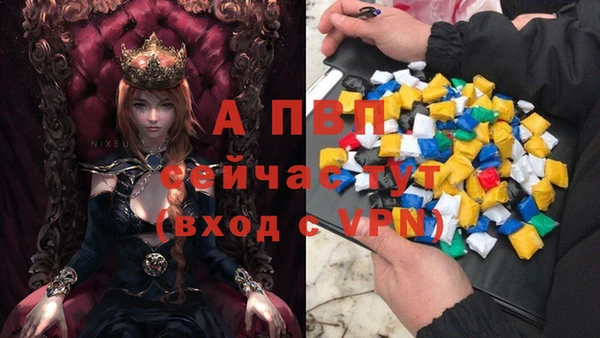 apvp Алзамай