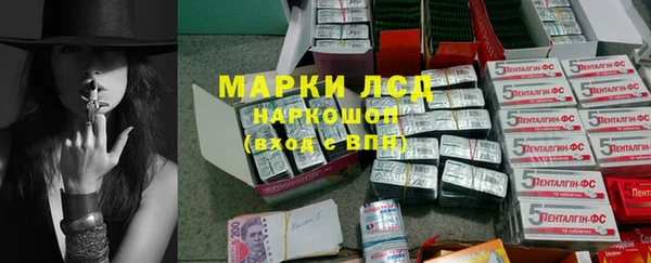 apvp Алзамай